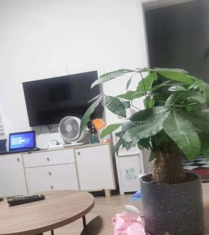徐汇区楼凤小姐