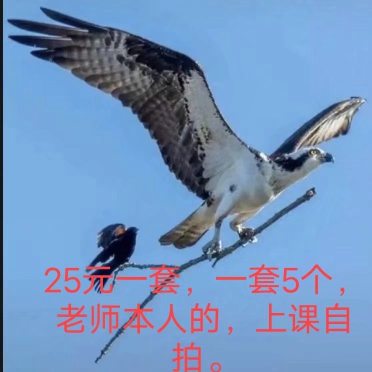 哈尔滨市楼凤小姐
