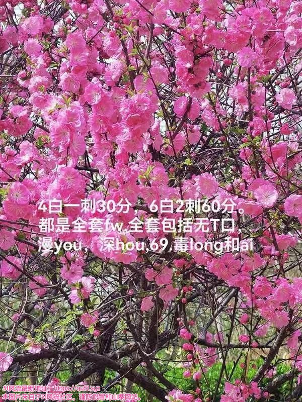 河北区楼凤小姐
