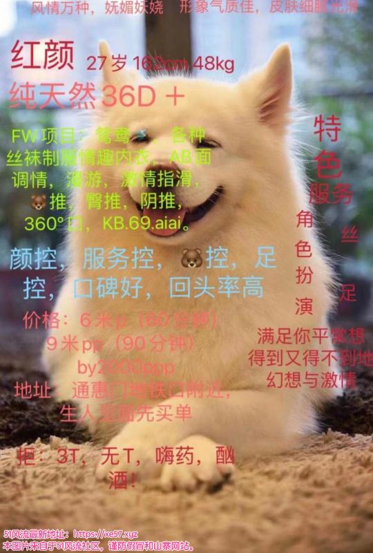 成都市楼凤小姐