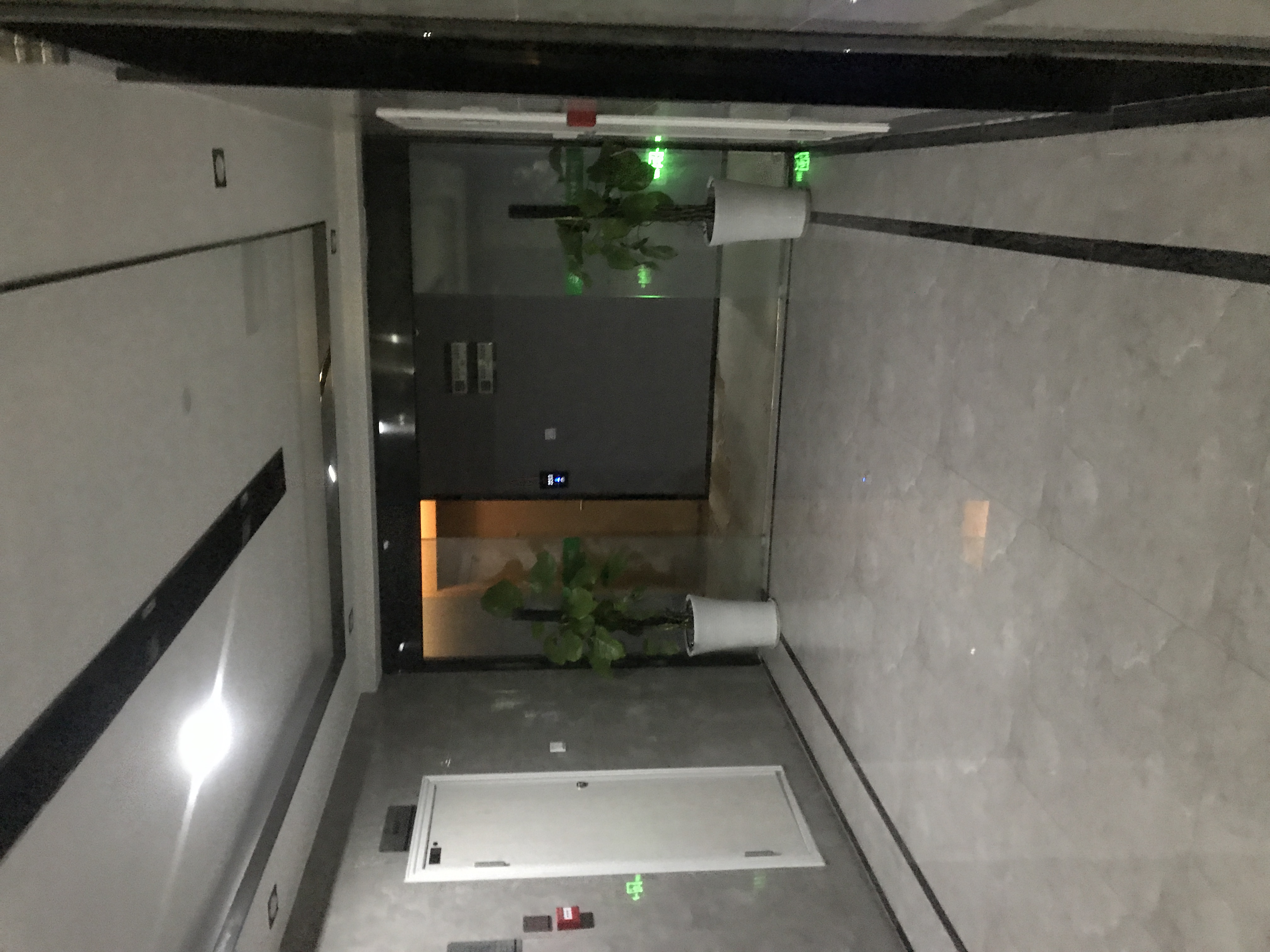 成都市楼凤小姐