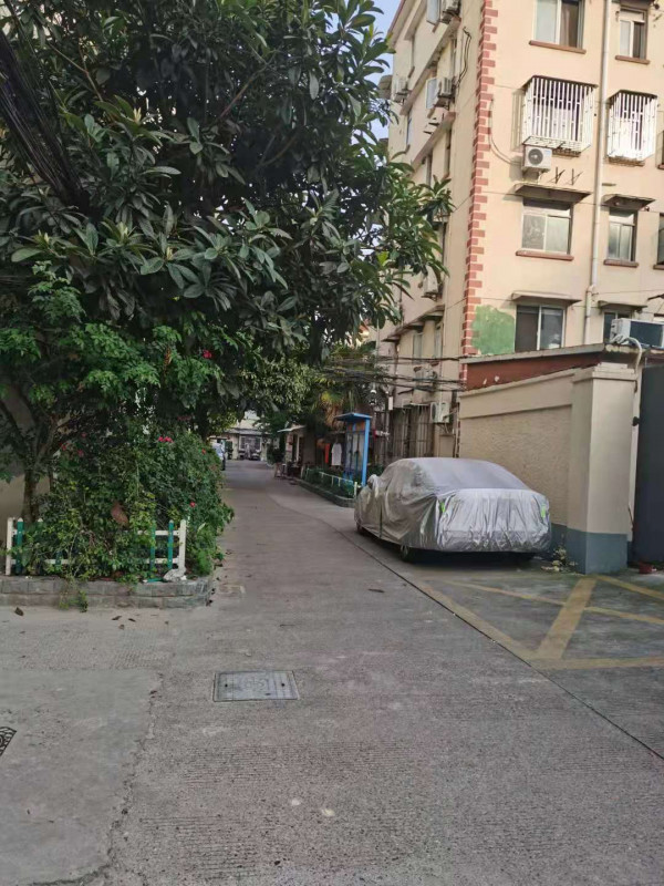 徐汇区楼凤小姐