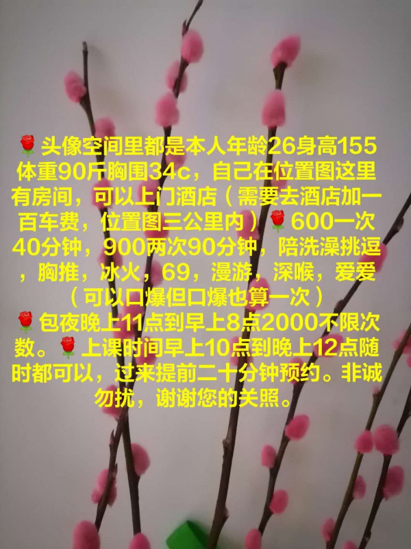 江门市楼凤小姐
